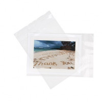 Plastic Bags 15.9x20.7cm Transparent Peel and Seal (100 pieces) [B86S]