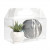 Plastic Handle Box 17.8 x 10.2 x 10.2 cm (25 Pieces) [FPLB173]