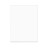 Plastic Bags 24x31cm Transparent (100 pieces) [B9NF]