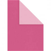 Card, A4 210x297 mm, 250 g, 10 sheets, pink/rose [HOB-219009]
