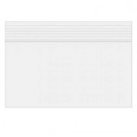 Grip Seal Bags 15x10cm PE 50 micron (100 pieces) [2PE64]